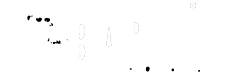 logo2017-250