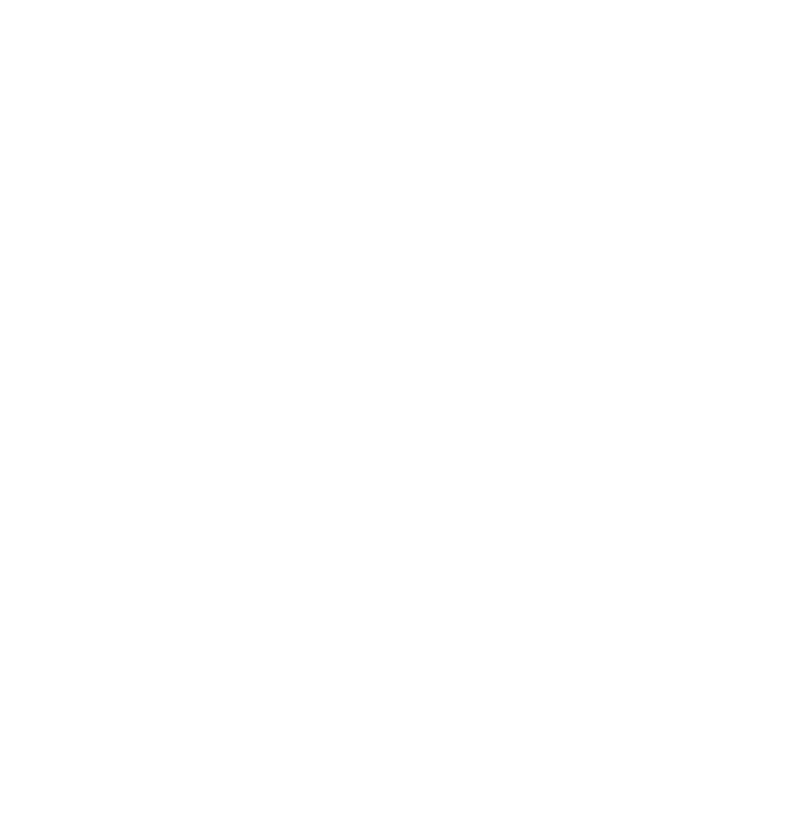 Barflys_MiamiRabbit_Logo_final_white900px